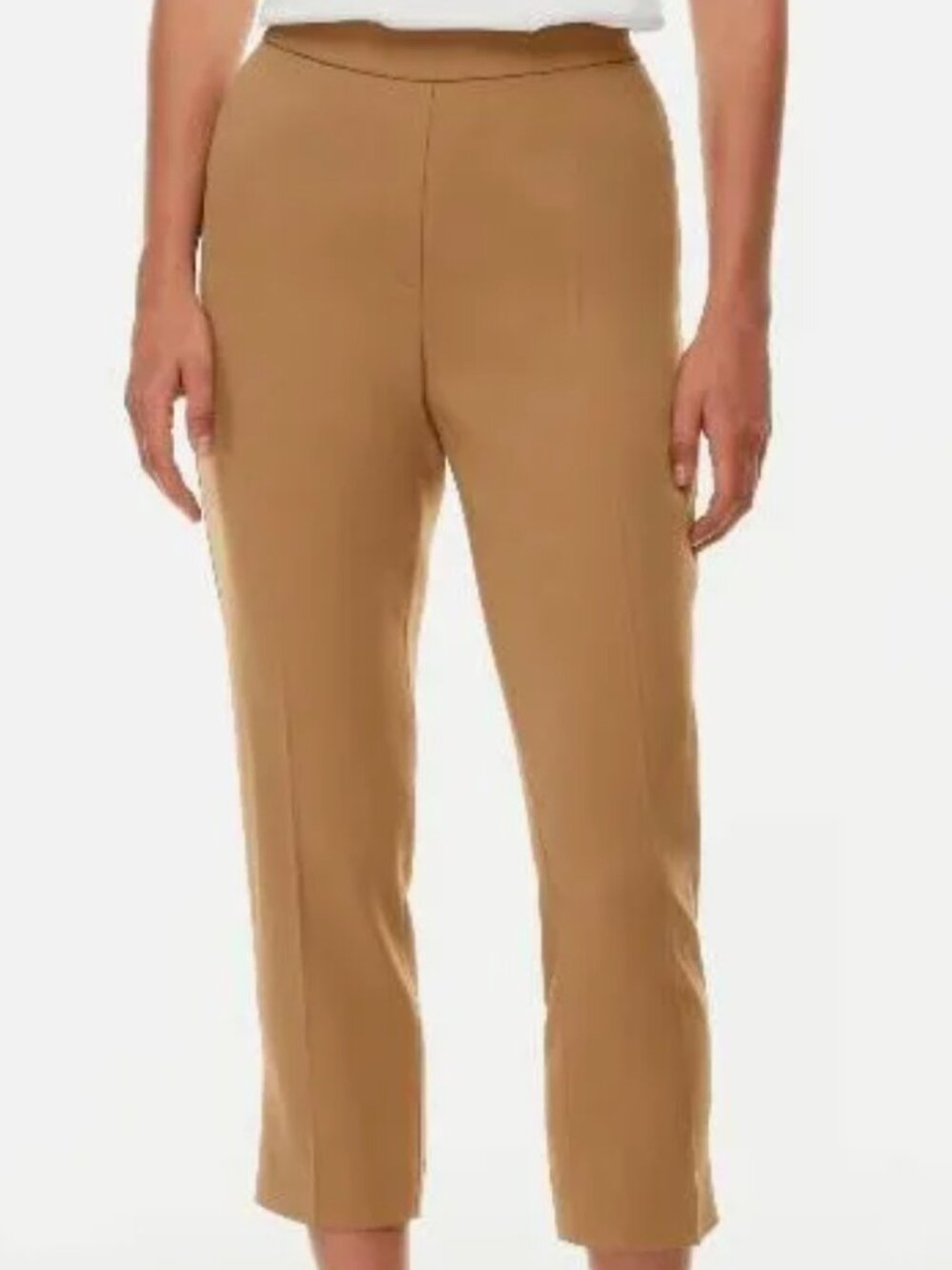 Aritzia Babaton Cropped Conan Pant in Tan sz 2